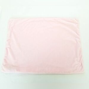 Pottery Barn Kids Pale Pink Velvet Shabby Cottage Pillow Sham 19.5" X 25"